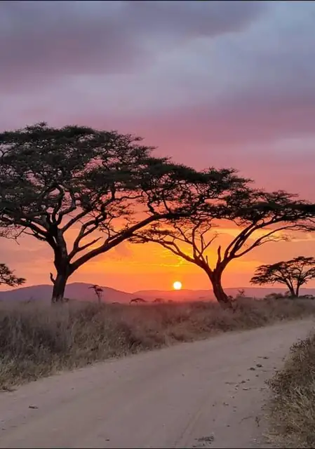 Amanecer sobre la pista que cruza la sabana