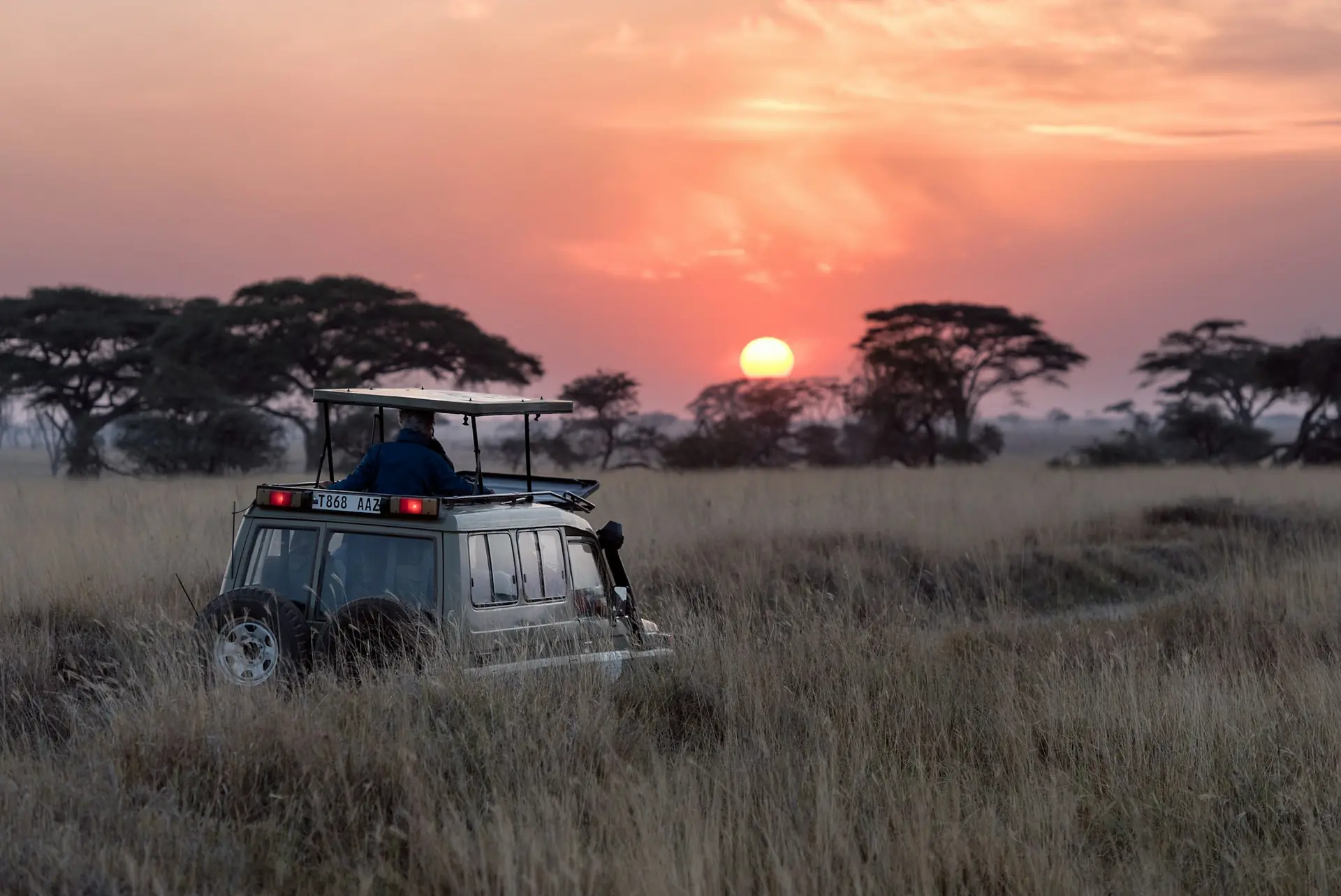 Vehículo de safari adentrándose en la sabana al atardecer