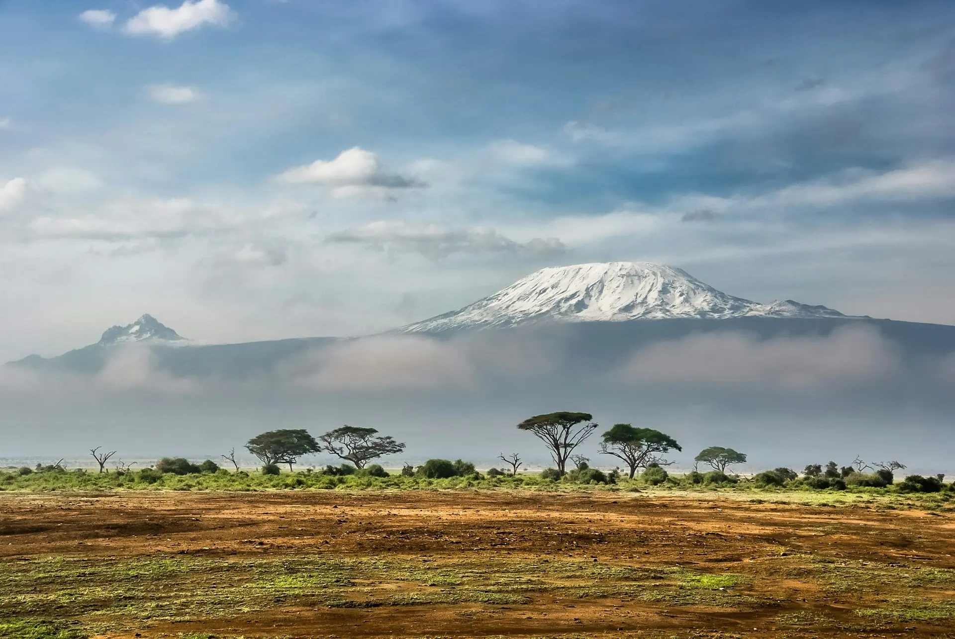 El Kilimanjaro nevado con acacias en la llanura